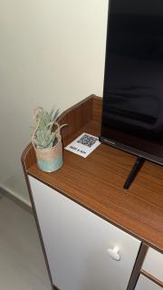 Studio américain petit paradis - 9