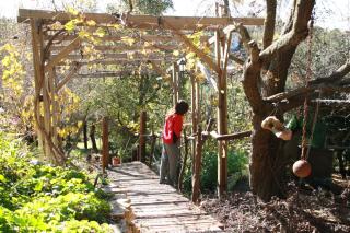 בית אמיתי מתת - 8