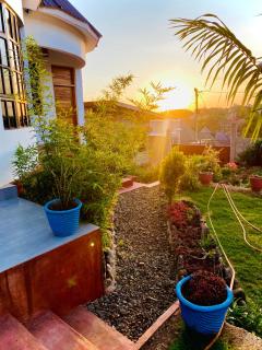 Lucky Monkey Lodge - 7