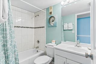 Sand Dollar 511 - 2