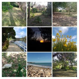 AmoVertecasadeveraneo - 5