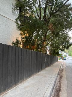 LaLa Land Studio City retreat in the trees - 1