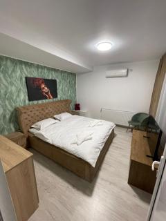 Pensiunea Canciu - 4