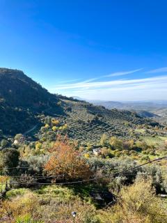 Hotel San Julian - 8