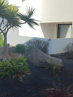 Casa Fuerte y Levamt - 6