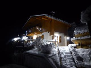 Aubier Confort Spa Chalet Domaine du Fraizier - 0