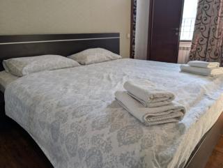 Rustaveli Central Suite - 5