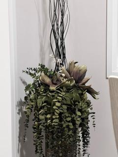 AyrHaus- Modern Comfort Meets Small-Town Charm - 8