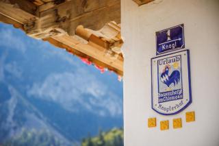 Knoglerhof inkl. Chiemgaukarte - 6