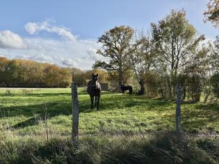 Maison de campagne cosy dans le Perche - 6