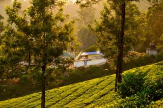 Munnar Valley View - 0