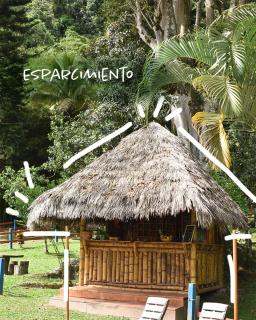 Ecohotel Monteverde - 3