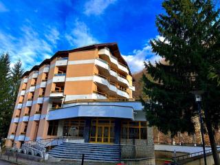 Montana Inn Slănic Moldova - 0