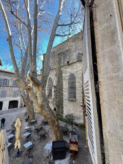 Le Romantique - Place St Didier - Cœur de ville - Avignon - 8
