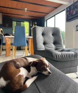 Cabaña el mirador azul - 2