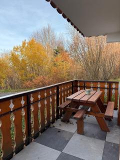 apptT2 station ski familiale - 4