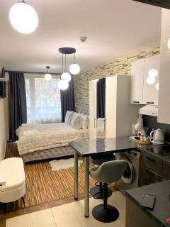 Luxury studio Perun Lodge - 2