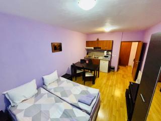 Predela 1 - Studio 10 near Bansko Ski Lift - 7