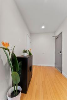 Beautiful 2BR in Southend Boston - 4