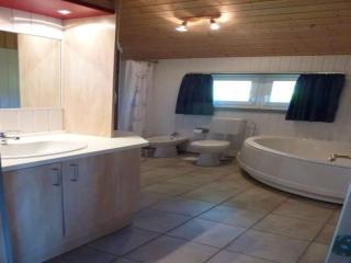 Ferienhaus im Ferienpark Mueritz - 1