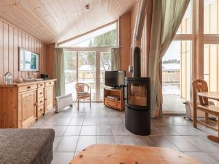 Ferienhaus mit Sauna im Ferienpark Mirow - 5