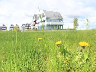 liebevoll eingerichtetes Appartement - 5