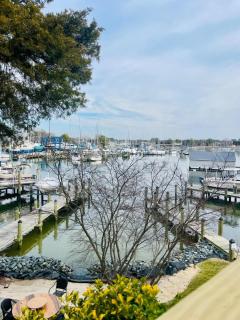 Waterfront Views with King Bed in Solomons Island - 2