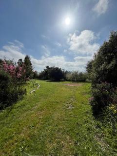 Posada valle alegre - 6