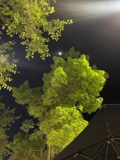 Habitación Individual Luz & Calma - 9