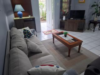 Tropical Palm Retreat - 4