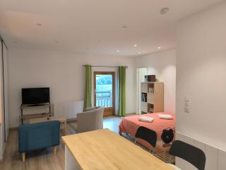 Studio rénové avec balcon & vue sur les montagnes - 8