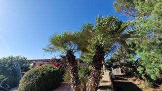 Il Dammusino di Amos e Iliana - 9