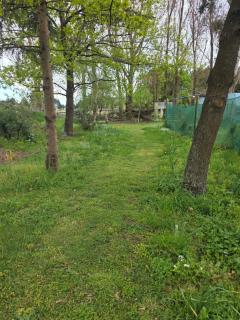 Harleston House - Accomodation and Vineyard - 3