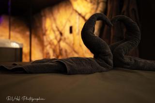 Love Room L'ecrin d'Asteria - 2