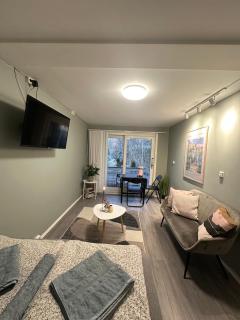 Nice apartment 15 min to Oslo center Free parking - 9