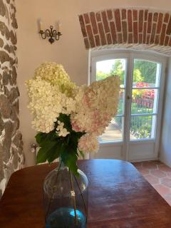 Stara Oranżeria Huszlew Dwór - 3