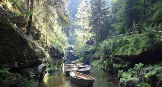 Beautiful, quiet apartment in the Boehm Switzerland - 9