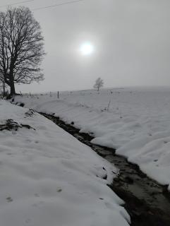 Tygiel Krzywa, Beskid Niski - 8