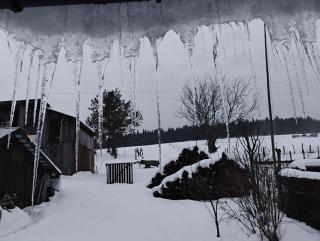 Tygiel Krzywa, Beskid Niski - 9