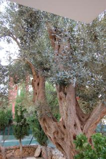 Apartamento en la playa - 4