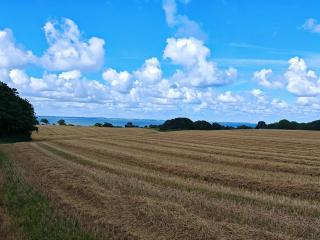 4 person holiday home in Vordingborg-By Traum - 7