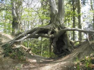 4 person holiday home in Vordingborg-By Traum - 4