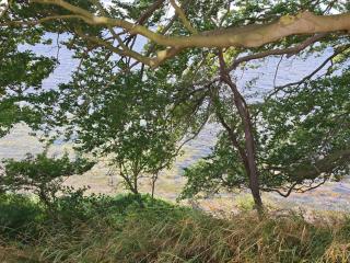 4 person holiday home in Vordingborg-By Traum - 6