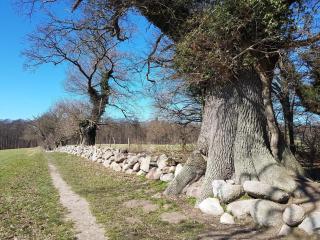 4 person holiday home in Vordingborg-By Traum - 2