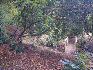 6 person holiday home in Sæby-By Traum - Sæby - 2