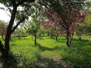 6 person holiday home in Sæby-By Traum - 9