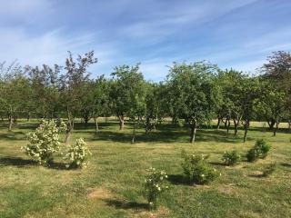 6 person holiday home in Sæby-By Traum - Sæby - 7