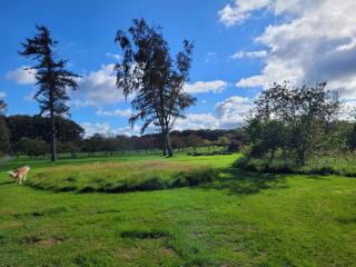 6 person holiday home in Sæby-By Traum - Sæby - 1