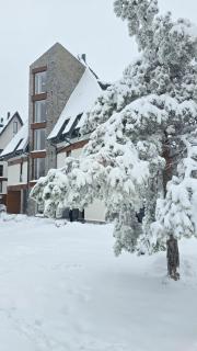 Borovi snovi Divčibare - 7