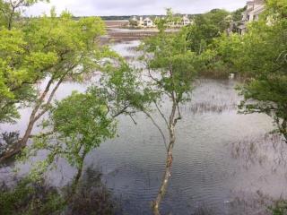 MWV2024: 2024 Marsh Walk Villa - 9